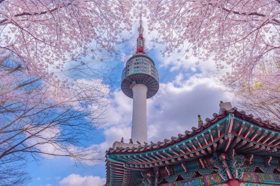 Tháp Namsan mùa xuân